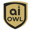 AI For All LLC
